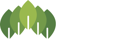 Logotipo Goki Geriatria